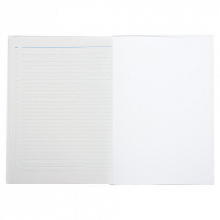 Книга учета 96 л., линия, твердая, картон, глянцевая, типографский блок, А4 (200х290 мм), STAFF, 130221