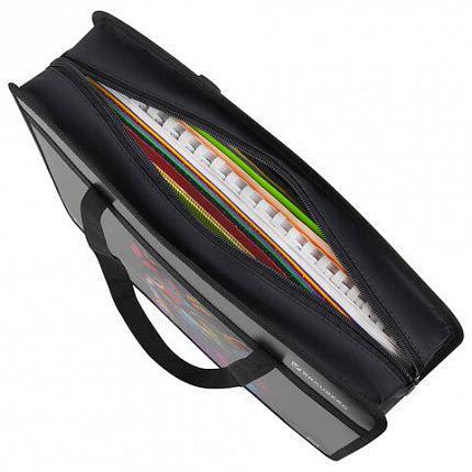 Папка на молнии с ручками BRAUBERG А4, 1 отделение, пластик, 80 мм, "Butterfly catcher", 272165