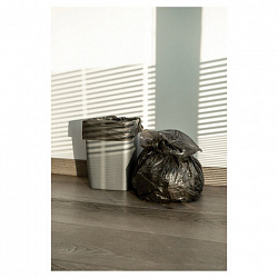 Мешки для мусора 35 л, черные, в рулоне 50 шт., ПНД, 6,2 мкм, 50х60 см, PACLAN "Professional", 40303