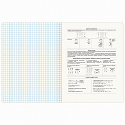 Тетрадь предметная VINTAGE 48 л., SoftTouch, ИНФОРМАТИКА, клетка, подсказ, BRAUBERG, 405154