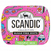 Драже освежающие SCANDIC без сахара со вкусом "Тропический микс", 14 г