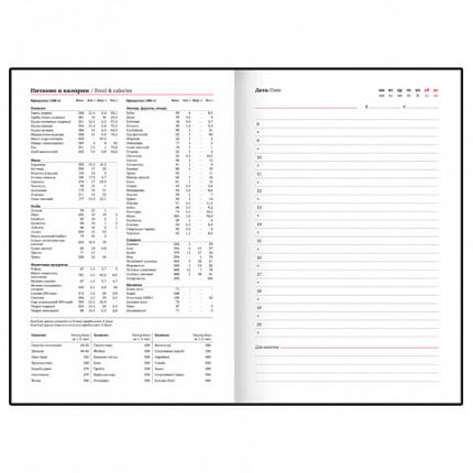 Ежедневник недатированный А5 145х220 мм, BRAUBERG "Zipline" под кожу, карман-молния,160 л., фиолетовый, 116249
