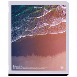 Тетради предметные, КОМПЛЕКТ 12 ПРЕДМЕТОВ, 48 л., матовая ламинация, BRAUBERG, "ПРИРОДА", 405606