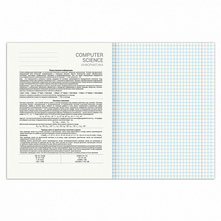 Тетрадь предметная SPORT CLUB 48л, обложка картон, ИНФОРМАТИКА, клетка, подсказ, BRAUBERG, 404800