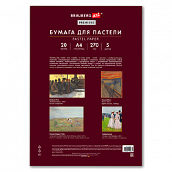 Бумага для пастели ФАКТУРНАЯ, А4, в папке, 20 листов, 5 цветов, 270 г/м2, BRAUBERG ART, 117755