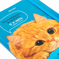 Дневник 1-11 класс 48 л., твердый, BRAUBERG, матовая ламинация, резинка, закладка-ляссе, с подсказом, "Котик", 107239