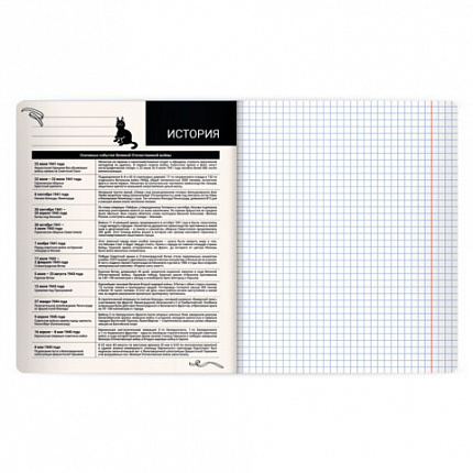 Тетрадь предметная КОТ-НЕПОСЕДА 48л, пластиковая обложка, ИСТОРИЯ, клетка, подсказ, BRAUBERG, 405534