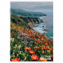 Тетрадь А4 96 л. STAFF "College" скоба, клетка, офсет №2 ЭКОНОМ, обложка картон, ГОРНЫЕ ЦВЕТЫ, 405621