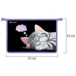 Папка для труда на молнии BRAUBERG А4, 2 отделения, органайзер, "Sleeping kitten", 273401