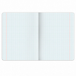 Тетрадь предметная DOG БОБИК 48 л., TWIN-лак, ИСТОРИЯ, клетка, подсказ, BRAUBERG, 404789