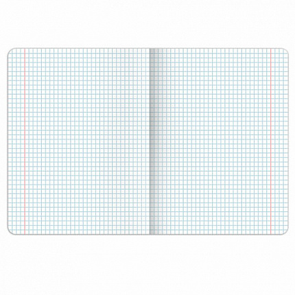 Тетрадь предметная DOG БОБИК 48 л., TWIN-лак, ИСТОРИЯ, клетка, подсказ, BRAUBERG, 404789