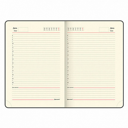 Ручка шариковая PARKER "Jotter Plastic CT", корпус красный, ежедневник А5 красный, пакет, 880897