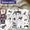 Тетради предметные, КОМПЛЕКТ 12 ПРЕДМЕТОВ 48 л., пластиковая обложка, BRAUBERG "КОТ-НЕПОСЕДА", 405542