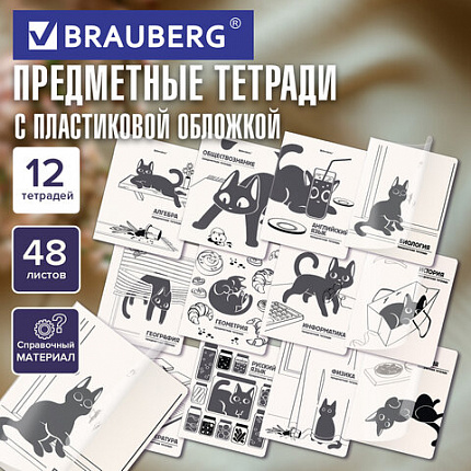 Тетради предметные, КОМПЛЕКТ 12 ПРЕДМЕТОВ 48л, пластиковая обложка, BRAUBERG "КОТ-НЕПОСЕДА", 405542