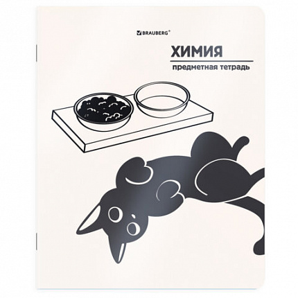 Тетрадь предметная КОТ-НЕПОСЕДА 48 л., пластиковая обложка, ХИМИЯ, клетка, подсказ, BRAUBERG, 405538