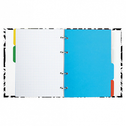 Тетрадь на кольцах А5 (175х215 мм), 240 листов, твердый картон, клетка, с разделителями, BRAUBERG, Calligraphy,404097