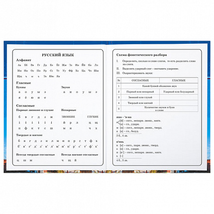 Дневник 1-4 класс 48 л., твердый, BRAUBERG, глянцевая ламинация, с подсказом, "Российский", 106832