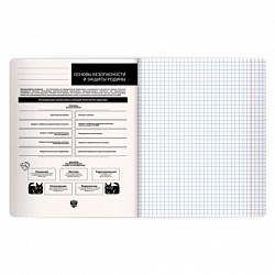 Тетрадь предметная КОТ-НЕПОСЕДА 48 л., пластиковая обложка, ОБЗР, клетка, подсказ, BRAUBERG, 405539