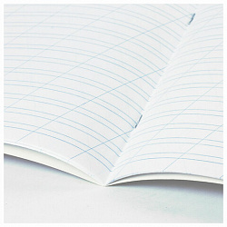 Тетрадь 12 л. BRAUBERG косая линия, обложка картон, CATS AND DOGS, 107288