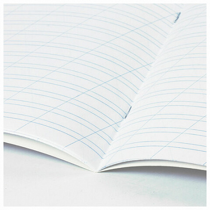 Тетрадь 12 л. BRAUBERG косая линия, обложка картон, CATS AND DOGS, 107288