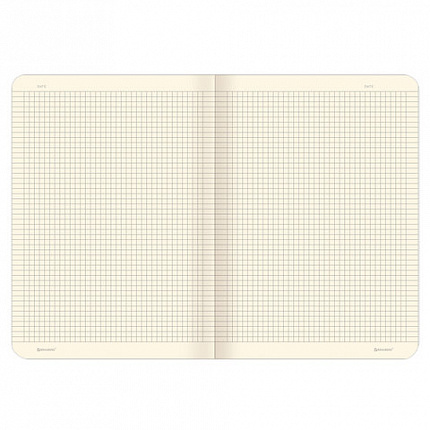 Тетрадь 60 л. в клетку обложка SoftTouch, бежевая бумага 70 г/м2, сшивка, В5 (179х250 мм), НЕДОТРОГА, BRAUBERG, 1403817