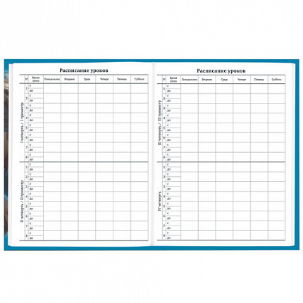 Дневник 1-11 класс 40 л., твердый, BRAUBERG, глянцевая ламинация, "Девушка с драконом", 107167
