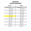 Тетрадь бумвинил А5 48 л. скоба, офсет №1, клетка, с полями, "ЗОЛОТО Metallic", HATBER, 059231, 48Т5бвВ1