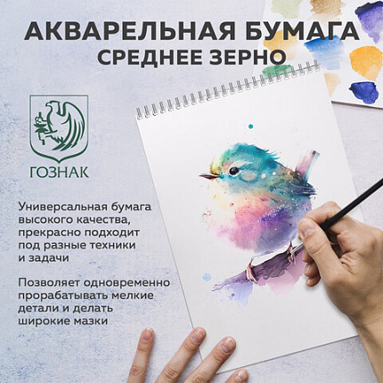 Бумага для акварели А3 60 л., 270 г/м2, мелкое зерно, в коробке, BRAUBERG ART CLASSIC, "Весна", 116888