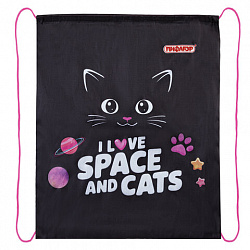 Мешок для обуви ПИФАГОР, 1 отделение, 42х34 см, "Dark kitten", 273419