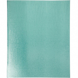 Тетрадь бумвинил А5 48 л. скоба, офсет №1, клетка, с полями, "МЯТА Metallic", HATBER, 019692, 48Т5бвВ1