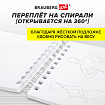 Скетчбук, С ШАБЛОНАМИ ФИГУР, бумага 160 г/м2, 145х205 мм, 60 л., гребень, подложка, BRAUBERG ART CLASSIC, 115073