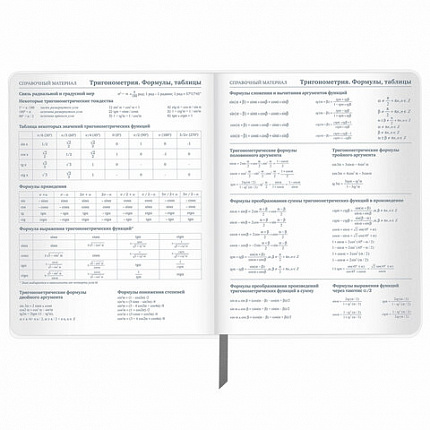 Дневник 1-11 класс 48 л., кожзам (твердая с поролоном), тиснение, аппликация, BRAUBERG, "Extreme", 106569