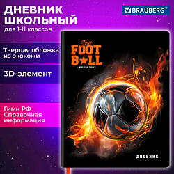 Дневник 1-11 класс 48 л., обложка кожзам (твердая с поролоном), 3D-элемент, BRAUBERG, "Футбол", 107220