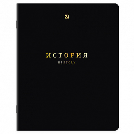 Тетради предметные, КОМПЛЕКТ 12 ПРЕДМЕТОВ, 48 л., Soft-Touch, 3D-фольга, BRAUBERG, "BLACK GOLD", 405602