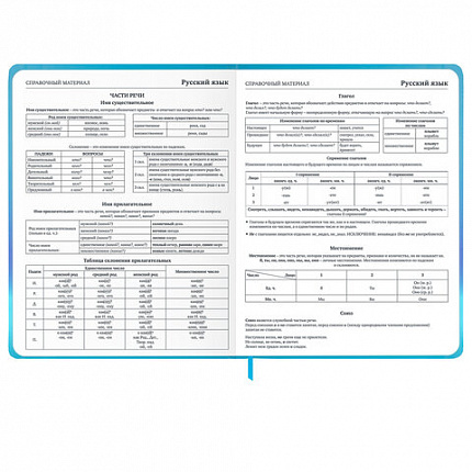 Дневник 1-11 класс 48 л., твердый, BRAUBERG, матовая ламинация, резинка, закладка-ляссе, с подсказом, "Котик", 107239