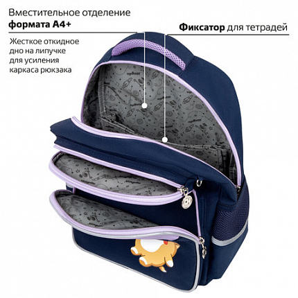 Рюкзак ЮНЛАНДИЯ COMPLETE, с пеналом в комплекте, эрго-спинка, "Bored cat", 42х29х14 см, 272055