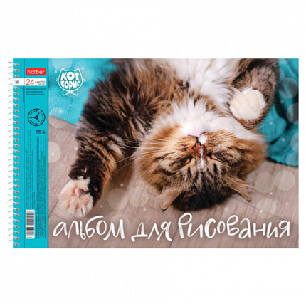 Альбом для рисования А4 24 л., спираль, обложка картон, HATBER, 198х300 мм, "Кот Борис" (5 видов), 079771, 24А4Всп