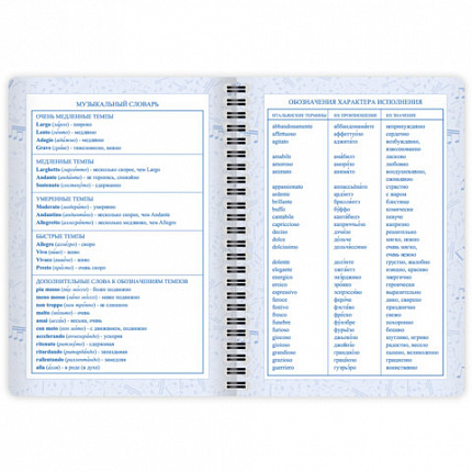 Дневник для музыкальной школы 48 листов, гребень, пластиковая обложка, картон, BRAUBERG, "МИКС", 107519