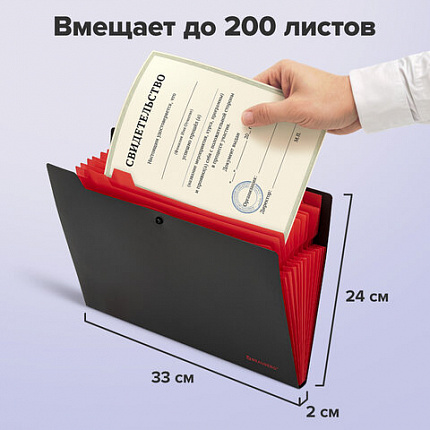 Папка-органайзер на кнопке 12 отделений, BRAUBERG "Extra", А4, черная с красным, 271934