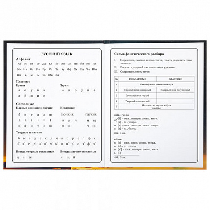 Дневник 1-4 класс 48 л., твердый, BRAUBERG, глянцевая ламинация, с подсказом, "Милый котик", 106835