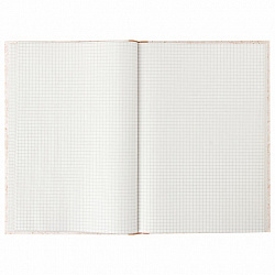 Книга учета 96 л., клетка, твердая, крафт, типографский блок, А4 200х290 мм, STAFF, 126500