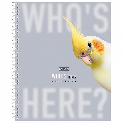 Тетрадь А5 96л. HATBER спираль, линия, матовая ламинация, Кто здесь? (микс в спайке),, 96Т5лВ2сп