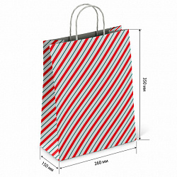 Крафт-пакет бумажный "Узкая полоса" 26х15х35 см, с кручеными ручками, плотность 100 г/м2, белый, 113228