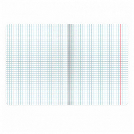 Тетрадь А5 48л. BRAUBERG скоба, клетка, выборочный лак, PASTEL, 405189