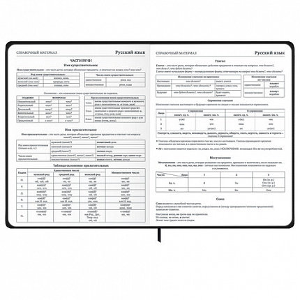 Дневник 1-11 класс 48 л., твердый, BRAUBERG, матовая ламинация, резинка, закладка-ляссе, с подсказом, "Дракон", 107240