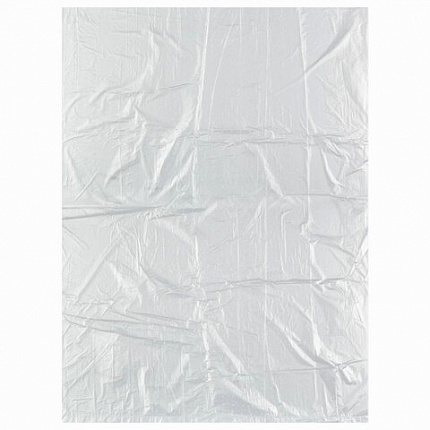 Пакеты фасовочные 24х37 см КОМПЛЕКТ 100 шт., ПНД, 8 мкм, рулон, LAIMA, 605951