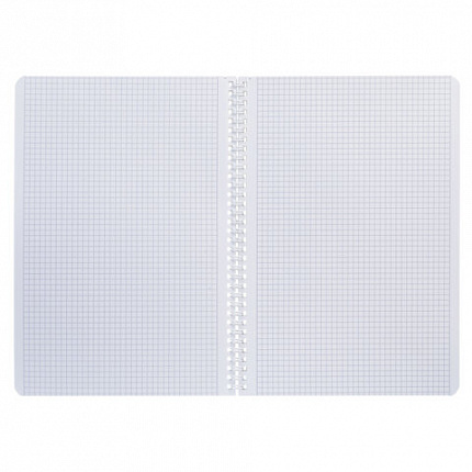 Тетрадь А4 80 л., HATBER, гребень, клетка, Soft-touch ламинация, цветной срез, "Рыба моя" (микс), 090167, 80Т4лВ1гр