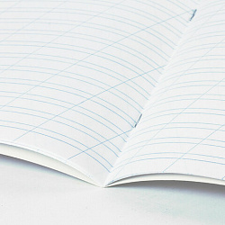 Тетрадь 12 л. BRAUBERG косая линия, обложка картон, CLASSIC, 107291