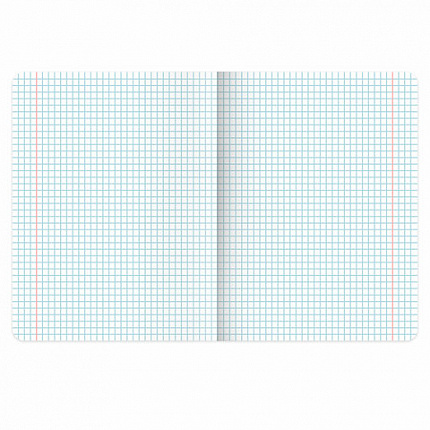 Тетради предметные, КОМПЛЕКТ 12 ПРЕДМЕТОВ, 48 л., обложка картон, BRAUBERG "HARMONY", 405167