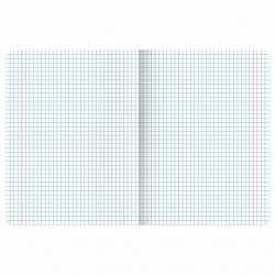 Тетрадь А5, 48 л., BRAUBERG, скоба, клетка, TWIN-лак, "КУРЛЫК И ВСЕ ВСЕ ВСЕ", (микс в ПУ), 405338